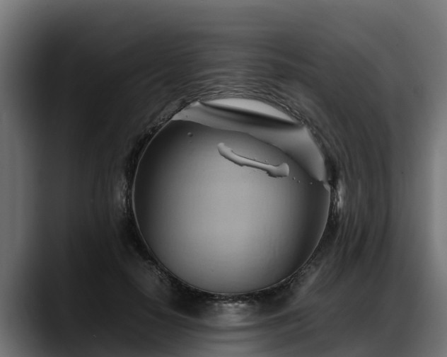 X0000088370650200705291328