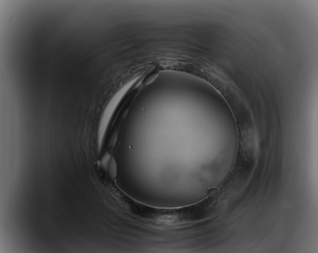 X0000088370653200705291328