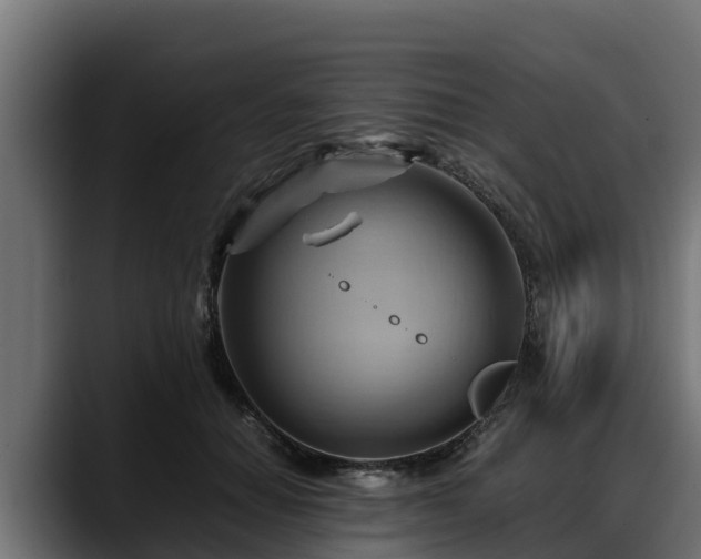 X0000088370654200705291328