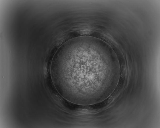 X0000088370655200705291328