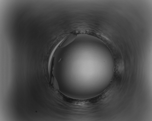 X0000088370661200705291328
