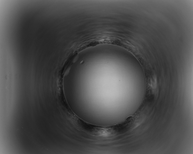 X0000088370663200705291328