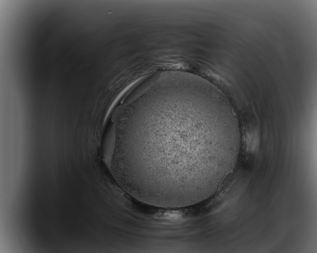 X0000088370665200705291328