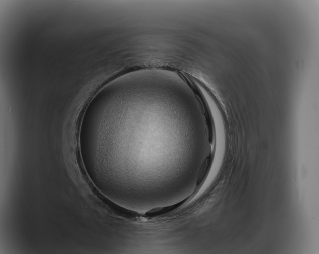 X0000088370673200705291328