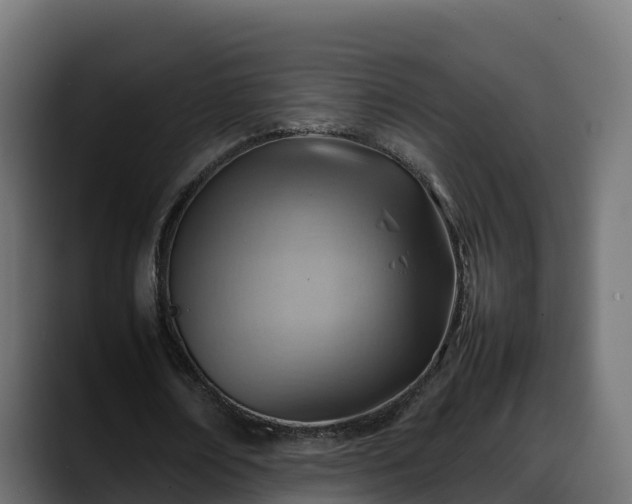 X0000088370674200705291328
