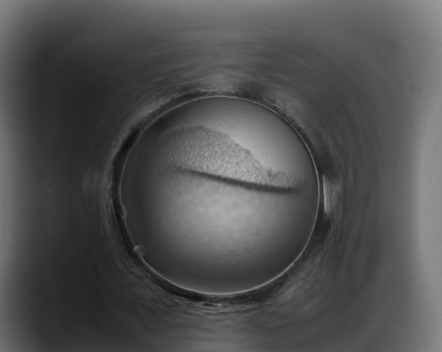 X0000088370675200705291328