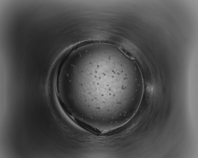 X0000088370676200705291328