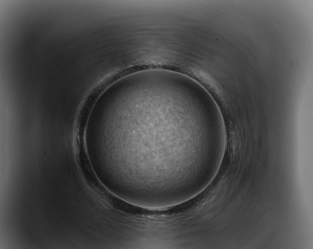 X0000088370680200705291328