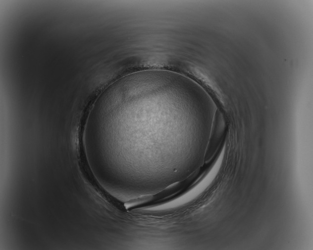 X0000088370681200705291328