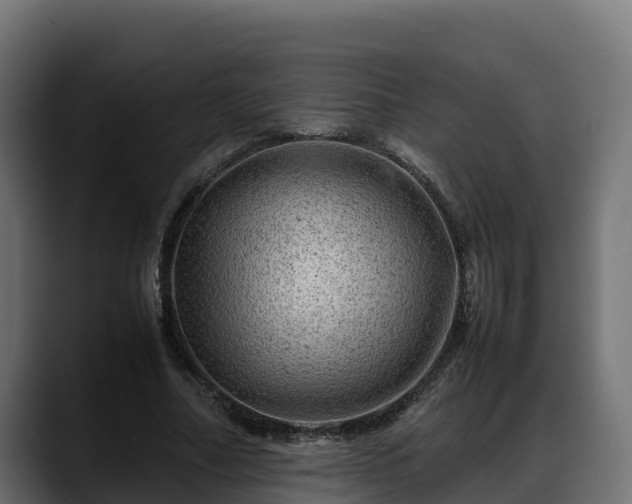 X0000088370682200705291328