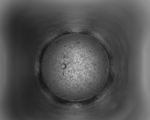 X0000088370683200705291328