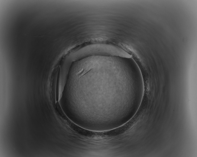 X0000088370684200705291328