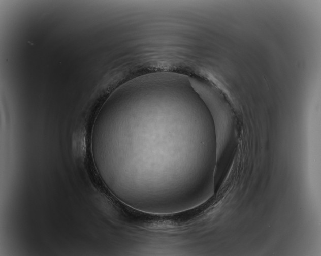 X0000088370685200705291328