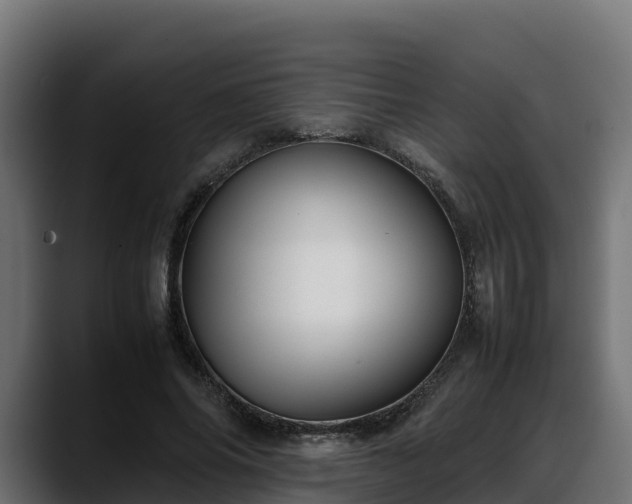 X0000088370686200705291328