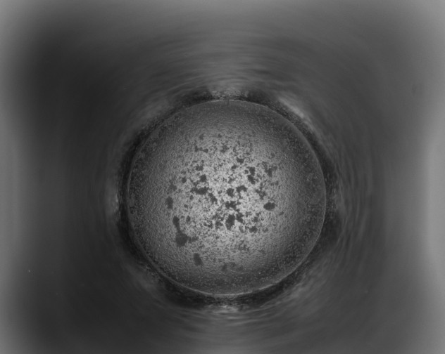 X0000088370687200705291328