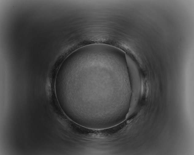 X0000088370688200705291328