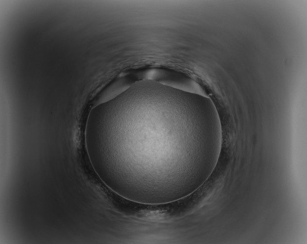 X0000088370689200705291328