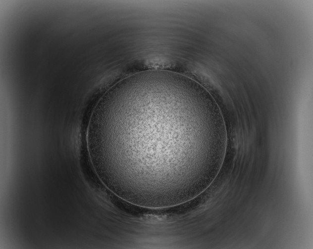 X0000088370690200705291328
