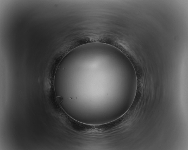 X0000088370691200705291328