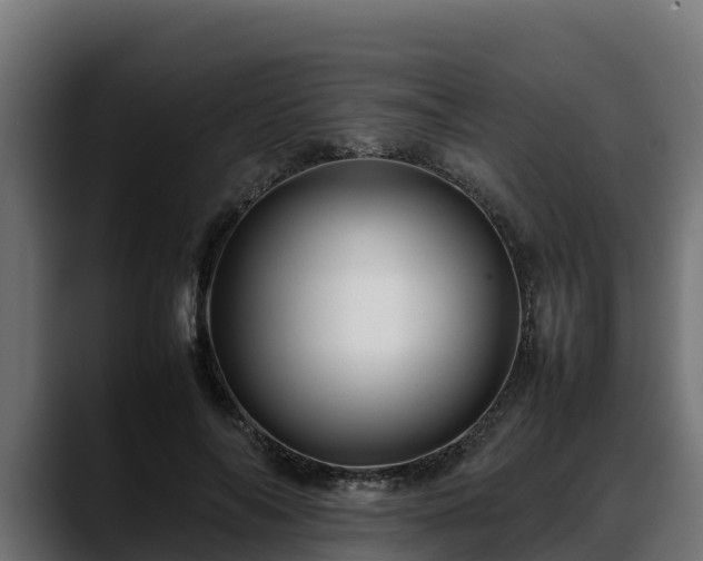 X0000088370694200705291328