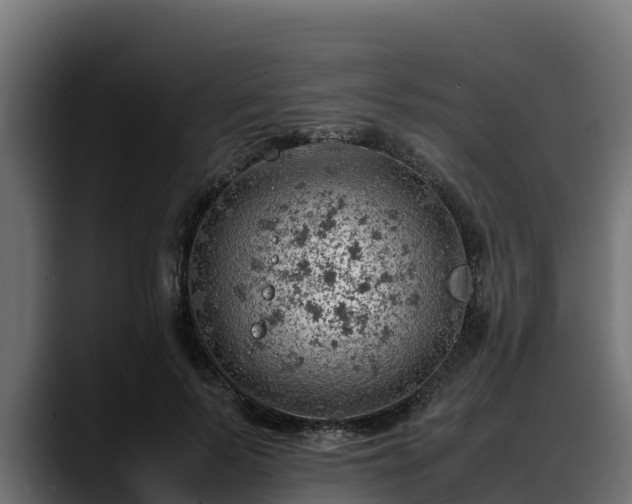 X0000088370695200705291328