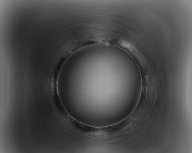 X0000088370696200705291328