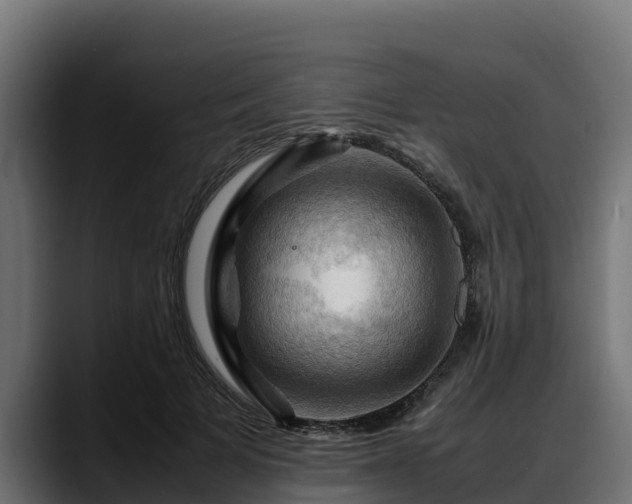 X0000088370697200705291328