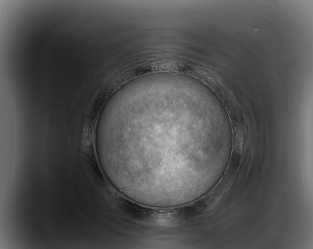 X0000088370701200705291328