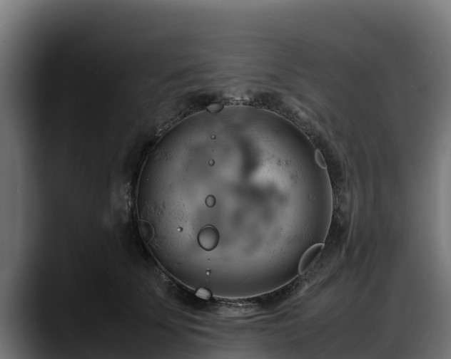 X0000088370707200705291327