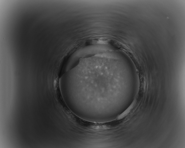 X0000088370712200705291327