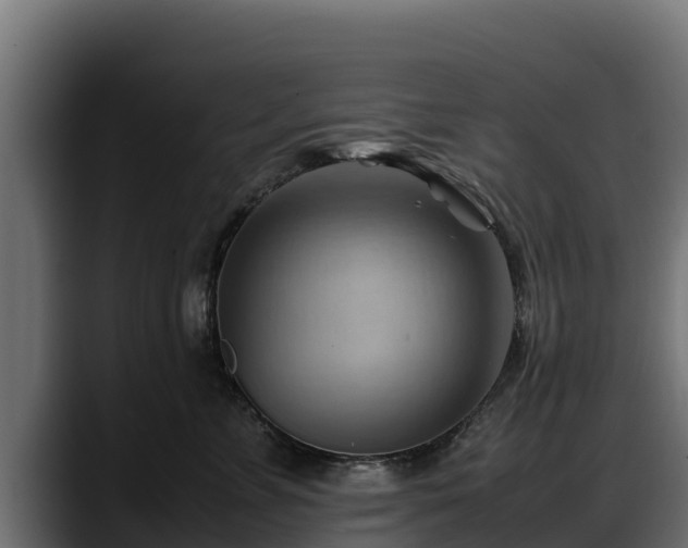 X0000088370715200705291327