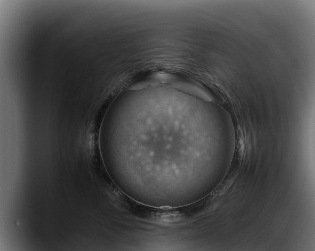 X0000088370716200705291327