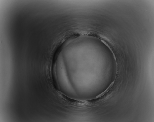 X0000088370720200705291327