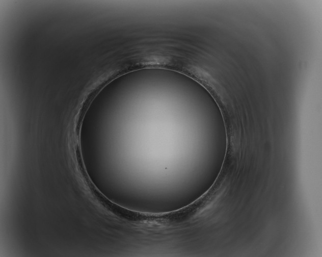 X0000088370721200705291327
