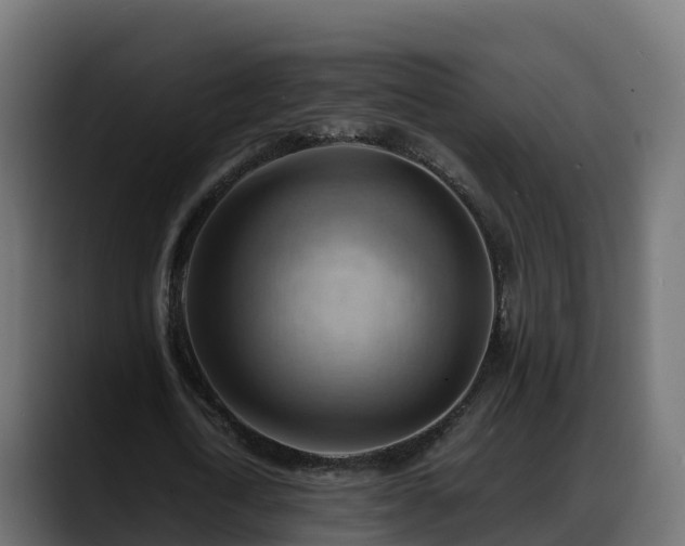 X0000088370722200705291327