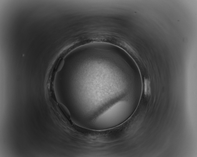 X0000088370723200705291327