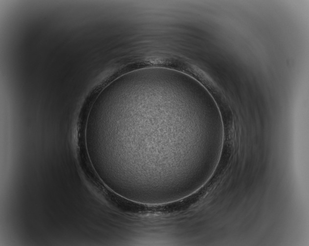 X0000088370730200705291327