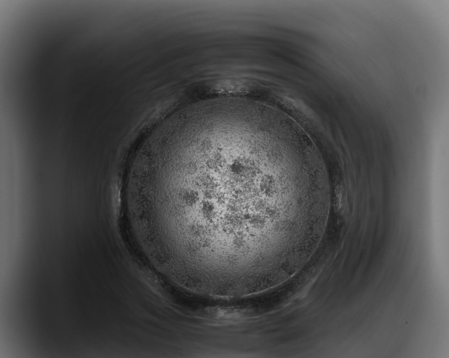 X0000088370733200705291327