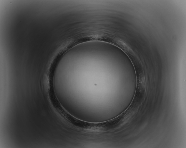X0000088370734200705291327
