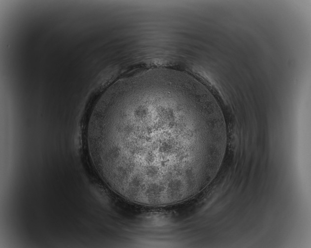 X0000088370738200705291327