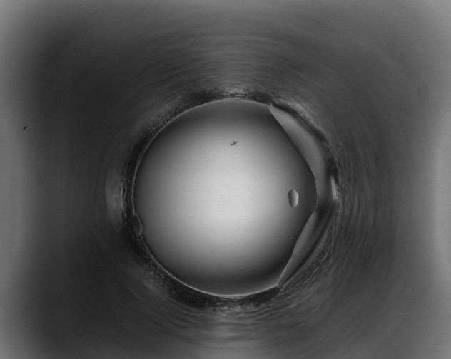 X0000088370740200705291327