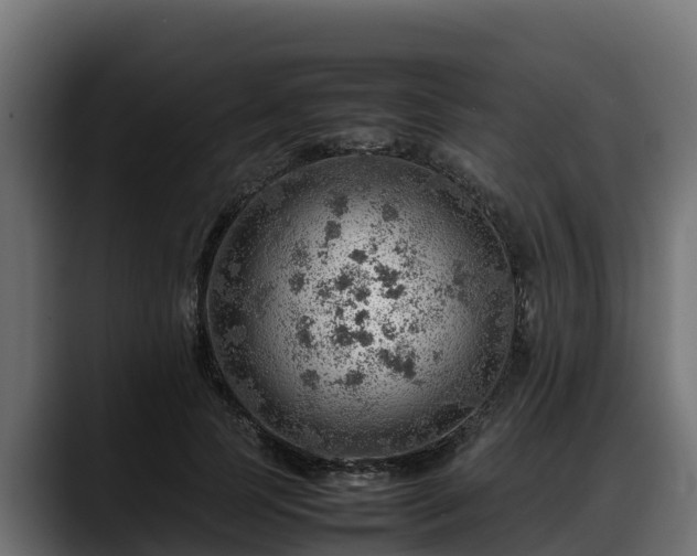 X0000088370745200705291327
