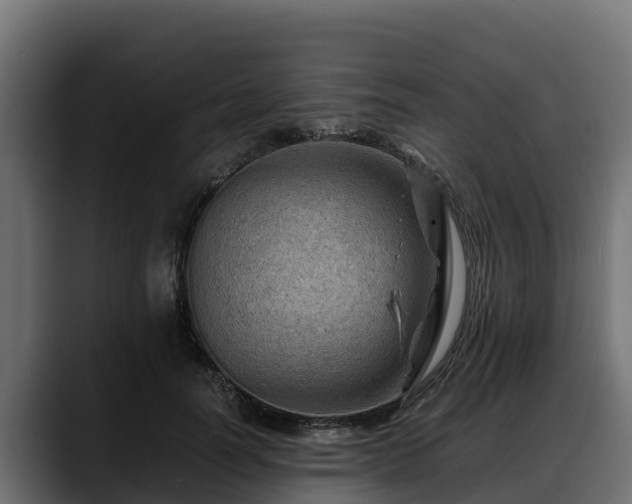 X0000088370746200705291327