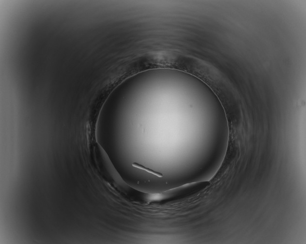 X0000088370752200705291327