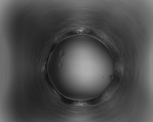 X0000088370754200705291327
