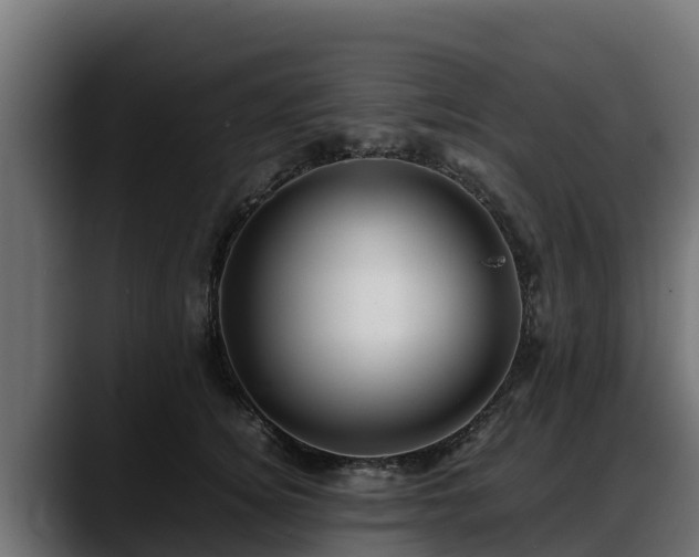 X0000088370756200705291327