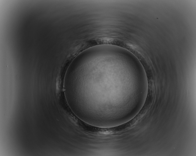 X0000088370760200705291327