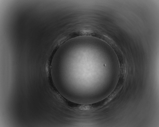 X0000088370762200705291327