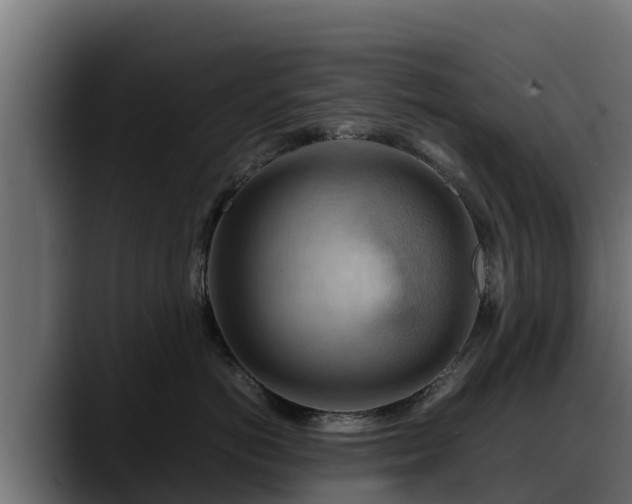 X0000088370766200705291327