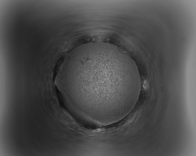 X0000088370771200705291327